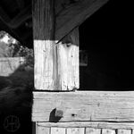 fot. J. Tur, 1966-1967 r., soboty, detale