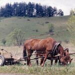 fot. Jerzy Tur, 1990 r. 