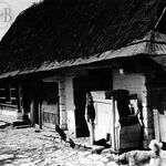 fot. J. Tur, czerwiec 1956 r. 