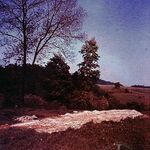 Oleh W. Iwanusiw, Church in Ruins, Ontario 1987