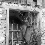 fot. Barbara Tondos, 1961 r. 