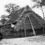 Hyżne, zagroda (1), stodoła, elewacja boczna – prawa, w tle widoczny dom, fot. A. Bocheński, 1993, sygn. AAB_01_12_12_C