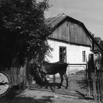 Pruchnik, ul. Długa 24, dom, widok od wsch., fot. A. Bocheński, 1981, sygn. AAB_01_10_24