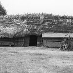 Hyżne, zagroda (1), stodoła, elewacja frontowa, w tle widoczna piwnica, fot. A. Bocheński, 1993, sygn. AAB_01_12_15_C