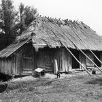 Hyżne, zagroda (1), budynek inwentarski, elewacja frontowa i boczna – lewa, fot. A. Bocheński, 1993, sygn. AAB_01_12_08_C