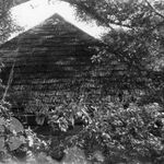 Borek Stary, obora plebańska, elewacja boczna lewa, fot. A. Bocheński, 1962, sygn. AAB_01_24_09_C