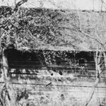 Komańcza, spichlerz (obecnie w MBL), elewacja tylnia, fot. A. Bocheński, 1960, sygn. AAB_01_02_38_C