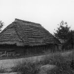 Błażowa i okolice, zespół zabudowań gospodarczych, stodołą i piwnica, fot. A. Bocheński, 1980, sygn. AAB_01_11_017_C