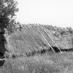 Hyżne, zagroda (1), stodoła, elewacja tylna i boczna – prawa, w tle widoczne dachy domu i piwnicy, fot. A. Bocheński, 1993, sygn. AAB_01_12_13_C