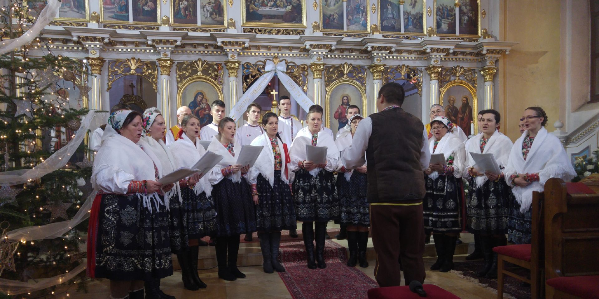 Барвінок коляды