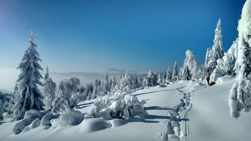 Поляна Буковец