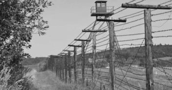 Медвідь на граніці