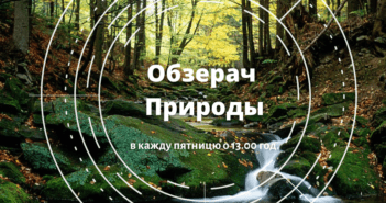 Обзерач Природы #16 – пятниця, 13.00 год.