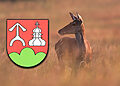 Ґрафіка: ланя (фот. Зенон Войтас, МНП), знак Ґміны Крампна.