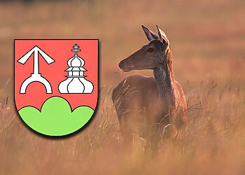 Ґрафіка: ланя (фот. Зенон Войтас, МНП), знак Ґміны Крампна.