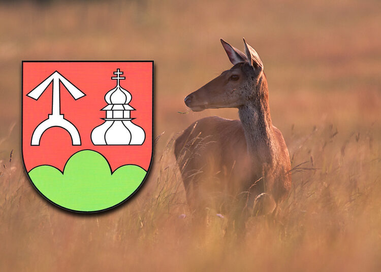 Ґрафіка: ланя (фот. Зенон Войтас, МНП), знак Ґміны Крампна.